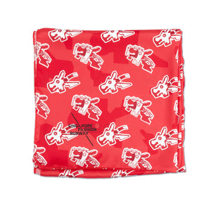 Dragon Playground Scarf